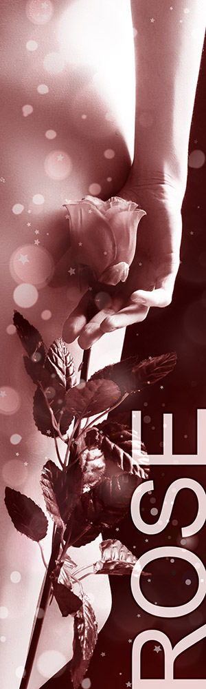 Honorar Status Rose - Escort Service Österreich